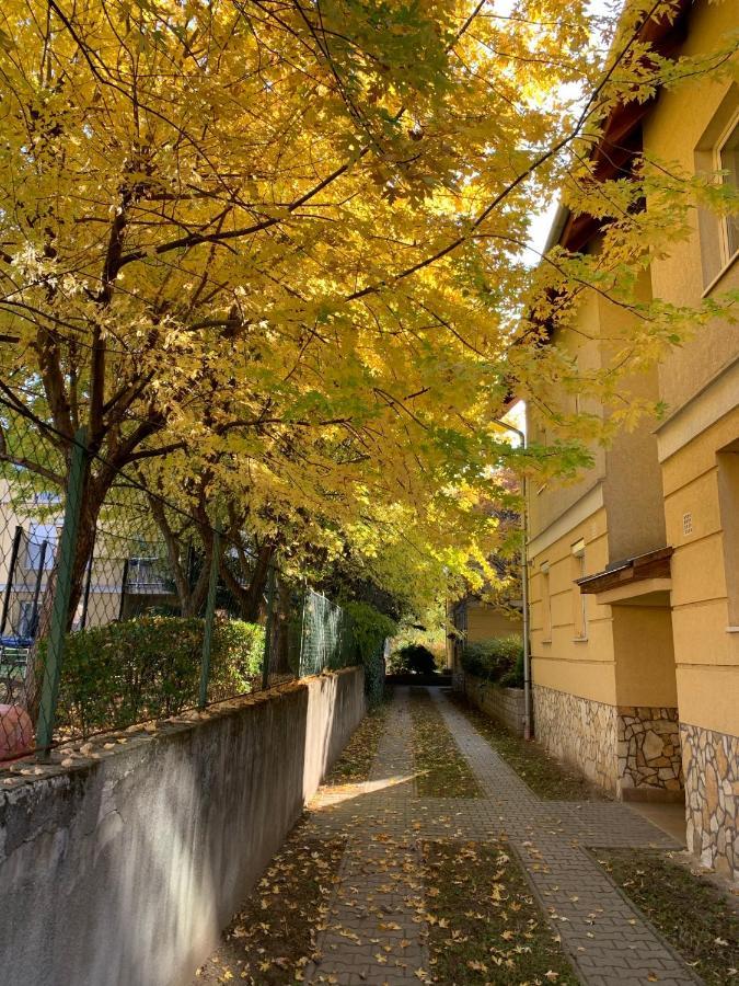 Apartment Lucky Budapest